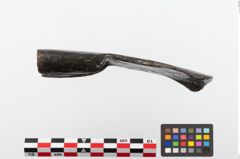 Foto von Eisendechsel (NHMW-PRAE-023817)